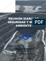 REUNION DIARIA DE SSOMA 5 MIN Nov.