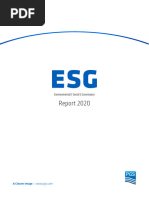 Pgs Es G Report 2020