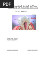 ENAMEL Seminar FINAL PDF