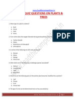 GK Questions On Plants and Trees