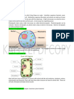 Grade 11 Chapter 1 Biology