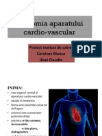 Anatomia Aparatului Cardio-Vascular