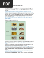 Grade 7 - BIo-BIodiversity - Worksheet 2 Answers