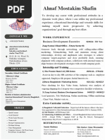 Professional CV Resume PDF