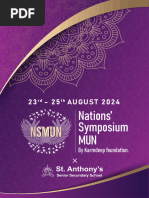 Nsmun 2