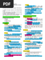 Anatomy Physiology Renal System OUTLINE