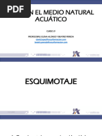 Esquimotaje