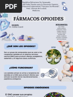 Tema 2 Opiodes 2