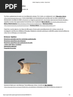 Añadir Imágenes y Sonidos Ebird