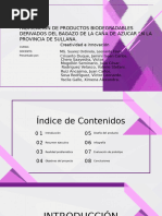 Presentación Diapositivas Propuesta Proyecto Marketing Profesional Corpora - 20240811 - 191954 - 0000