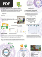 PLANTILLA PARA PLIEGO ESPECIAL 120 X 90 Metodología