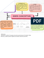 Mapa Conceptual