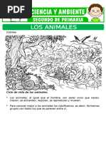 Los Animales y Su Clasificacion para Segundo de Primaria