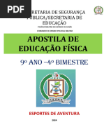 9º Ano - 4º Bimestre: Secretaria de Segurança Pública/Secretaria de Educação