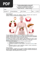 Sistema Endócrino - 3ano - 2024