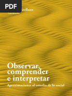 OBSERVAR COMPRENDER E INTERPRETAR Arellano