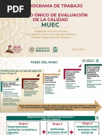 Programa - de Trabajo - Muec 2025 Final