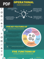 Operational Database