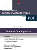 04-. Tumores Odontogenicos 2024