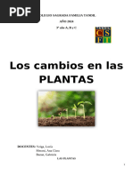 Cambios en Las Plantas Secuencia Didactica