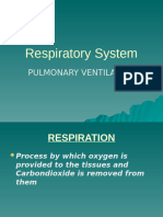 Respiratory System Nur