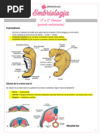 Periodo Embrionário
