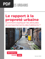 Rapport Proprete Urbaine