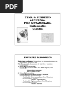 Parasito Temas 5 A 11