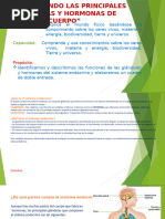 Sesión 09 - CyT 2°-Sistema Endocrino Humano