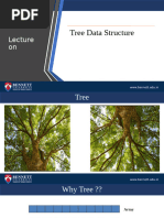 Lecture On Tree