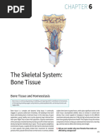 Chapter 6. Bone Tissue