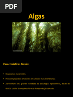 Aula 3 Algas - PDF - 2