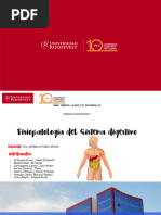 Fisiopatologia Del Estomago