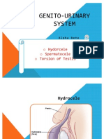 Hydrocele