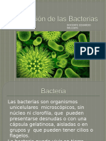 Clasificación de Bacterias T2