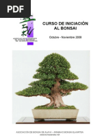 Curso Bonsai Quercus 2008