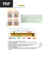 Guia Digestivo para Pasar Examenes