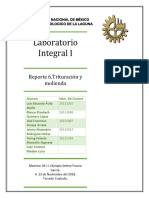 6.trituracion y Molienda Lab Integral