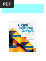 Crime and Criminal Justice Concepts and Controversies Stacy L. Mallicoat Download PDF