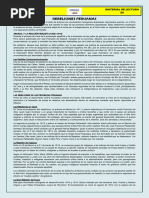 30 Rebeliones Peruanas