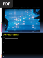 Lab 8 Gel Electrophoresis-1