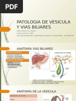 Patologia de Vesicula y Vias Biliares