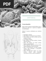 DIFTERIA. MARZO 23 - Compressed