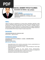 CV Maicoljenrrypituyflores