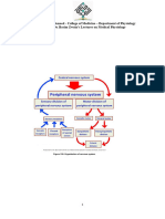 Nervous System-Lec.1