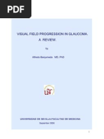 Visual Field Progression in Glaucoma. A Review. 