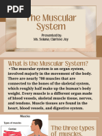 The-Muscular-System - 20241007 233312 0000