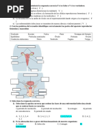 Pregunta de Biologia 3