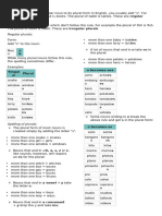 Singular Plural Nouns