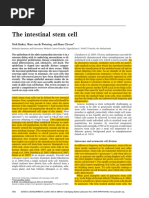 Intestinal Stem Cells